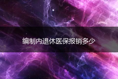 编制内退休医保报销多少