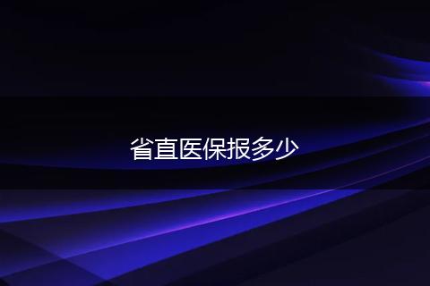 省直医保报多少