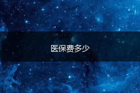 医保费多少