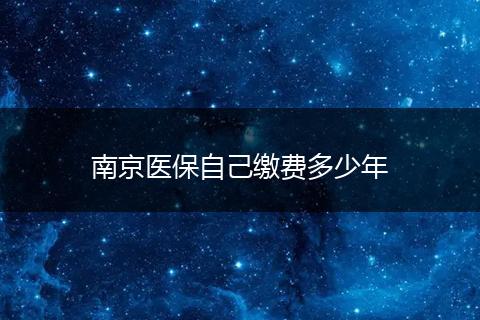南京医保自己缴费多少年