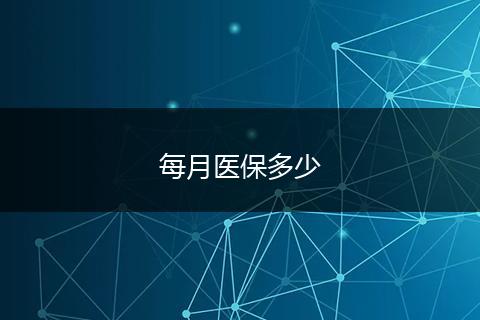 每月医保多少