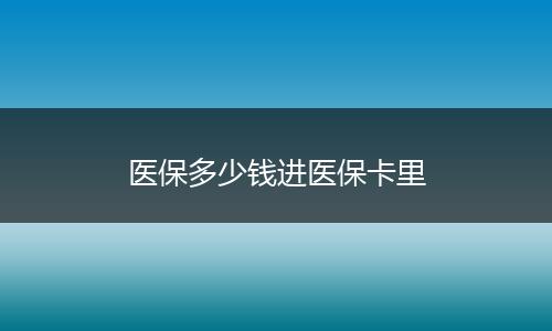 医保多少钱进医保卡里