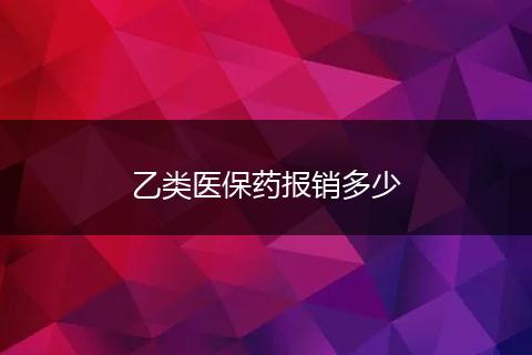 乙类医保药报销多少