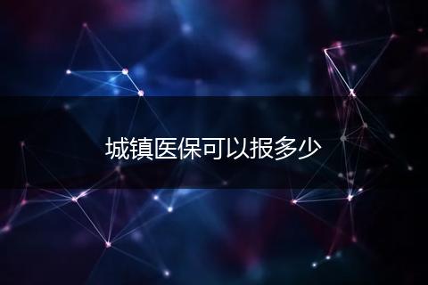 城镇医保可以报多少