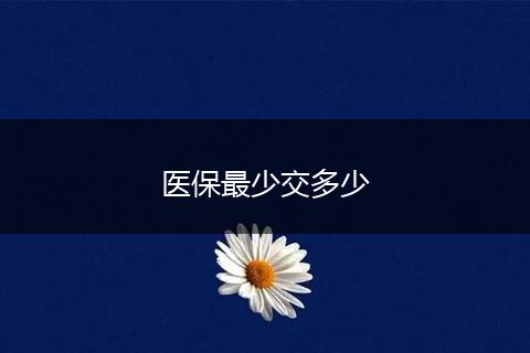 医保最少交多少