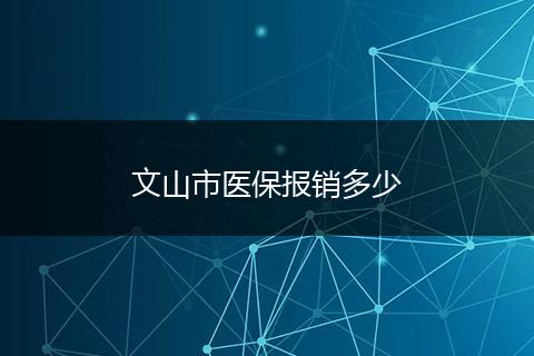文山市医保报销多少