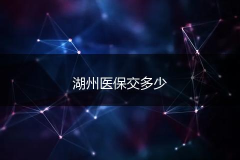 湖州医保交多少