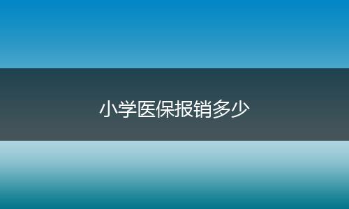 小学医保报销多少