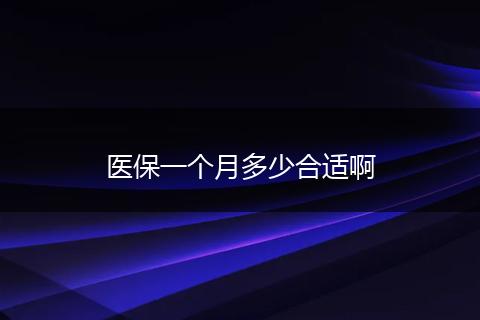 医保一个月多少合适啊