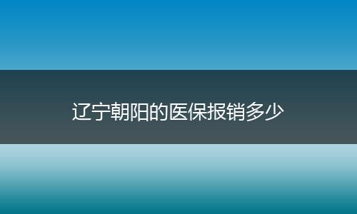 辽宁朝阳的医保报销多少