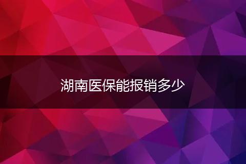 湖南医保能报销多少