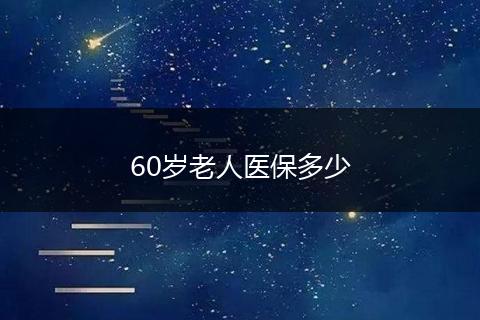 60岁老人医保多少