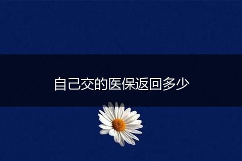 自己交的医保返回多少