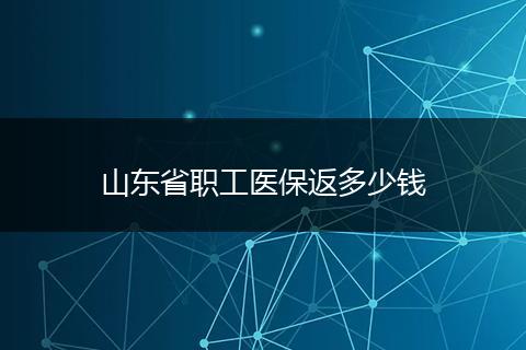 山东省职工医保返多少钱