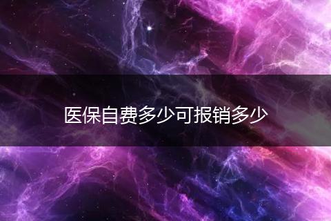 医保自费多少可报销多少
