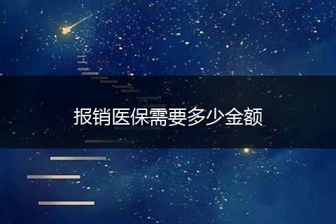 报销医保需要多少金额