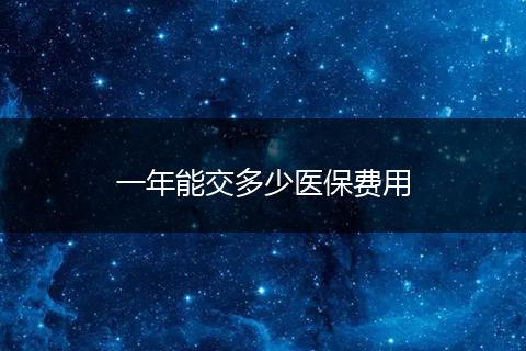 一年能交多少医保费用