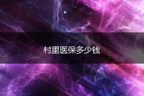 村里医保多少钱