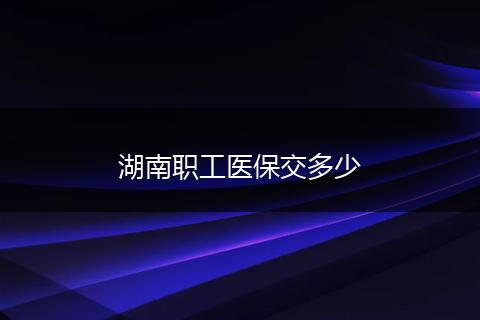湖南职工医保交多少
