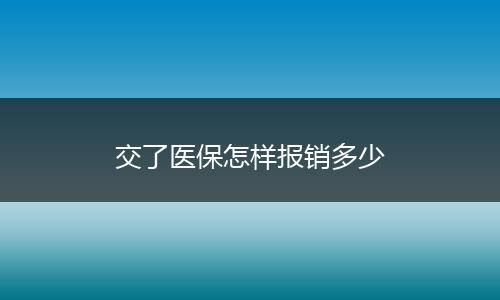 交了医保怎样报销多少