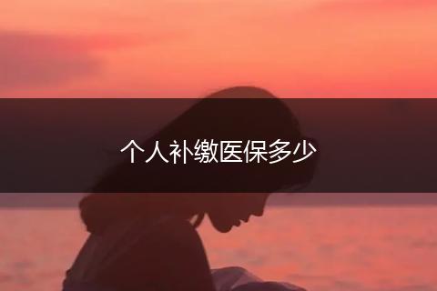 个人补缴医保多少