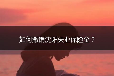 如何撤销沈阳失业保险金？