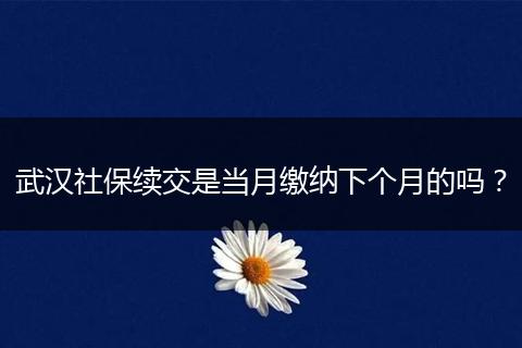 武汉社保续交是当月缴纳下个月的吗？