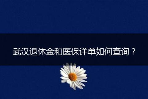 武汉退休金和医保详单如何查询？