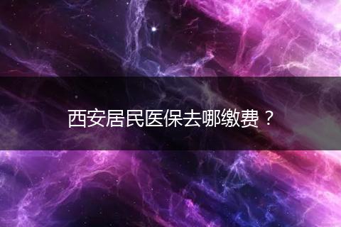 西安居民医保去哪缴费？