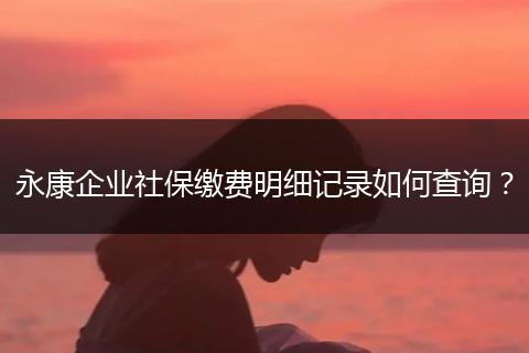 永康企业社保缴费明细记录如何查询？