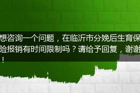 想咨询一个问题，在临沂市分娩后生育保险报销有时间限制吗？请给予回复，谢谢！