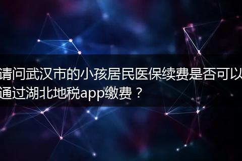 请问武汉市的小孩居民医保续费是否可以通过湖北地税app缴费？