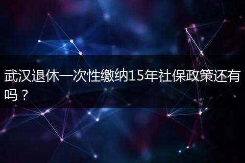武汉退休一次性缴纳15年社保政策还有吗？