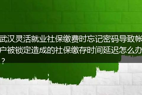 武汉灵活就业社保缴费时忘记密码导致帐户被锁定造成的社保缴存时间延迟怎么办？