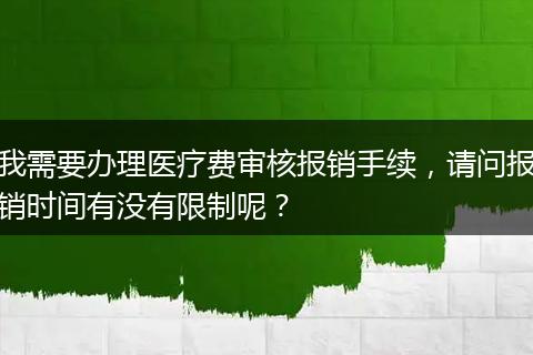 我需要办理医疗费审核报销手续，请问报销时间有没有限制呢？