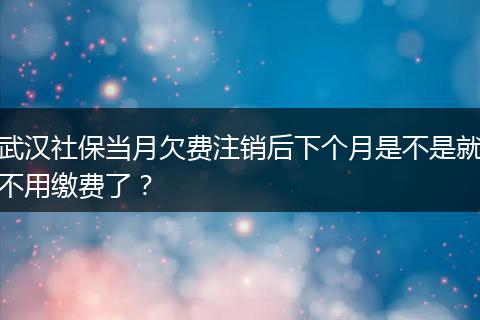 武汉社保当月欠费注销后下个月是不是就不用缴费了？