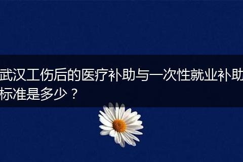 武汉工伤后的医疗补助与一次性就业补助标准是多少？