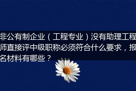 非公有制企业（工程专业）没有助理工程师直接评中级职称必须符合什么要求，报名材料有哪些？