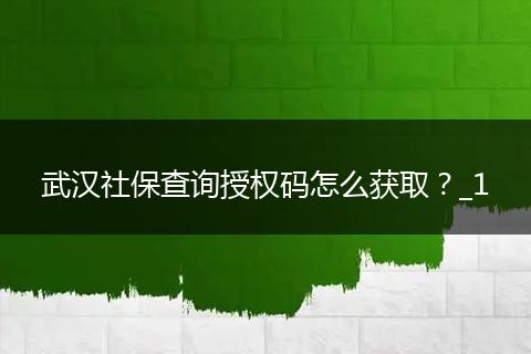 武汉社保查询授权码怎么获取？_1