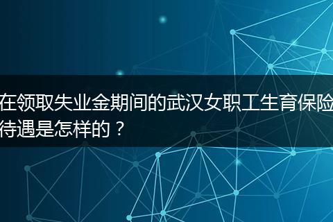在领取失业金期间的武汉女职工生育保险待遇是怎样的？