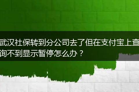 武汉社保转到分公司去了但在支付宝上查询不到显示暂停怎么办？