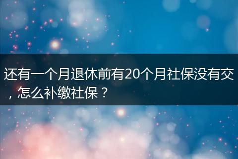 还有一个月退休前有20个月社保没有交，怎么补缴社保？