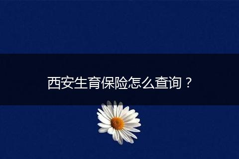 西安生育保险怎么查询？