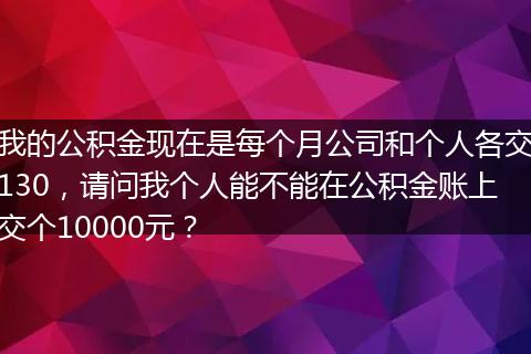 我的公积金现在是每个月公司和个人各交130，请问我个人能不能在公积金账上交个10000元？