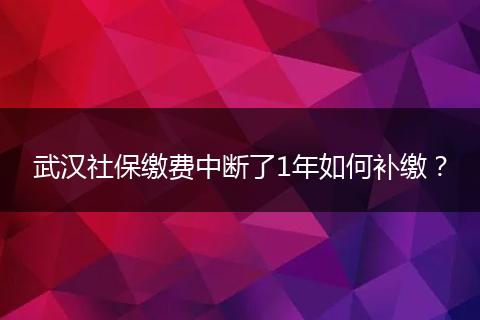 武汉社保缴费中断了1年如何补缴？