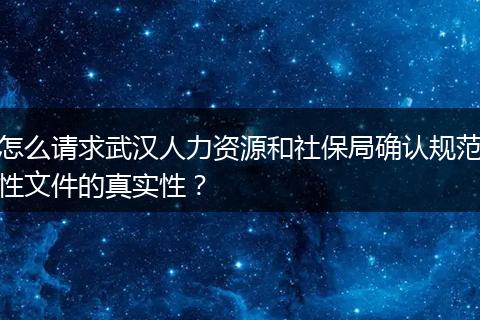 怎么请求武汉人力资源和社保局确认规范性文件的真实性？