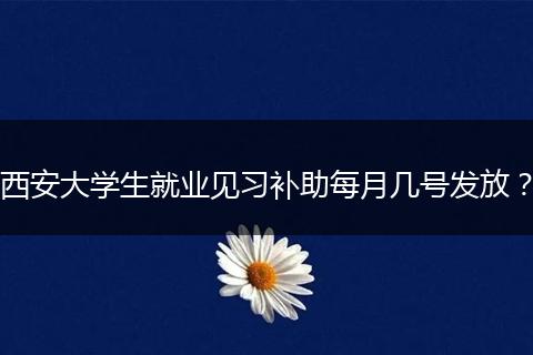 西安大学生就业见习补助每月几号发放？