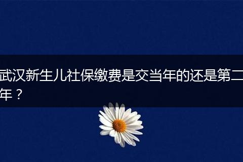 武汉新生儿社保缴费是交当年的还是第二年？
