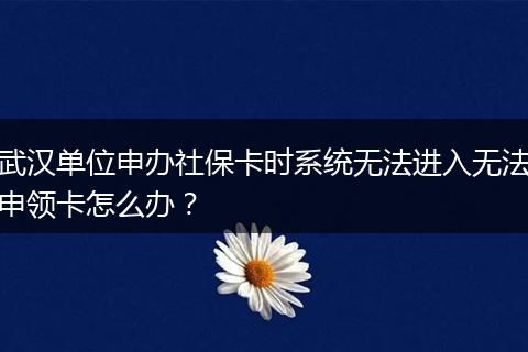 武汉单位申办社保卡时系统无法进入无法申领卡怎么办？