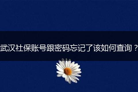 武汉社保账号跟密码忘记了该如何查询？